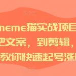 短视频MEME猫爆笑教程，独家揭秘选材到文案撰写，剪辑技巧一站式教学，快速吸粉涨号攻略！