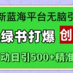 揭秘！独家最新蓝海平台引流秘籍，小绿书强势引爆创业圈，全自动日吸500+精准创业粉丝！