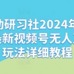 2024年10月独家揭秘：嗨动研习社视频号无人直播赚钱攻略，一学就会！