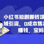 小红书短剧搬砖秘籍：0成本边追剧边赚钱，宝妈逆袭神器，揭秘私域流量暴增技巧！