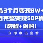 虚拟产品暴利变现攻略：3个月轻松赚8W+，揭秘小学教辅项目全套SOP操作教程（含独家教程+珍贵资料）