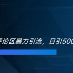 双十一电商评论绝技曝光，轻松日吸500+精准创业粉丝，独家揭秘引流秘诀！