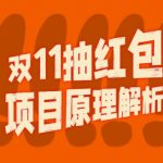 双11红包裂变狂潮来袭！独家揭秘视频营销项目完整攻略，轻松实现长期稳定盈利！