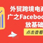 外贸跨境电商终极攻略：Facebook广告投放入门必修课，快速提升销量！