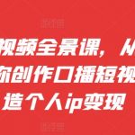 口播短视频制作全攻略：0基础快速上手，手把手打造火爆个人IP，实现流量变现！