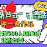 抖音独家葫芦式引流秘籍，3分钟速成爆款视频，轻松日引500+精准创业粉丝，揭秘高效涨粉技巧！