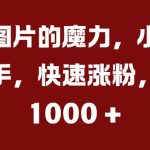 揭秘：美女图片涨粉秘籍，小白必看！轻松上手，日吸千粉，收益翻倍！