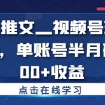 视频号小说推广秘籍：单账号半月狂揽5000+收益，实操教程曝光！