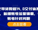 抖音带货终极教程14.0版：从基础到精英，账号运营秘籍全解析，快速破解账号难题！