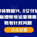 抖音带货终极教程14.0版：从基础到精英，账号运营秘籍全解析，快速破解账号难题！