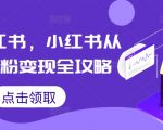 掘金小红书：0基础快速涨粉至1万，揭秘小红书变现独家攻略！