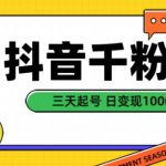 抖音千粉速成攻略：无需刷粉，3天快速起号，日赚1000元，涨粉变现内幕大揭秘！
