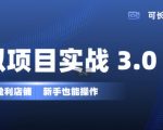 自动盈利店铺打造秘籍3.0版：零基础新手也能轻松上手，长期稳定收入，低成本投入创业首选！