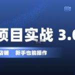 自动盈利店铺打造秘籍3.0版：零基础新手也能轻松上手，长期稳定收入，低成本投入创业首选！