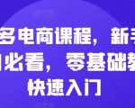 拼多多新手攻略：零基础小白电商速成，快速掌握开店赚钱秘籍！