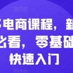 拼多多新手攻略：零基础小白电商速成，快速掌握开店赚钱秘籍！