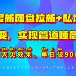 11月独家揭秘：网盘拉新+私域全自动裂变，打造躺赢管道收益，即刻见证日入900+奇迹！