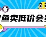 揭秘：仅需998元！掌握闲鱼低价充值会员搬砖秘籍，轻松实现日入200+的赚钱神话！