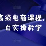 新手小白必看！小红书高级电商课程，零基础快速上手实操教学，变身电商达人！