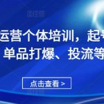 直播带货达人速成秘籍：从零起号、独家货源、单品爆破、流量投放技巧一网打尽！