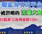 豆瓣蓝海引流秘籍：揭秘被忽视的流量金矿，轻松日引超100+精准创业粉丝！