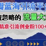 豆瓣蓝海引流秘籍：揭秘被忽视的流量金矿，轻松日引超100+精准创业粉丝！