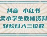 抖音小红书爆款小学生教辅资料售卖攻略，零基础快速盈利，月入过万不是梦！