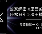 揭秘X平台流量密码，轻松复制粘贴，日引流破百不是梦！