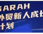 外贸新手必看：快速成长攻略，悄悄成为行业精英！