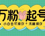 揭秘：轻松涨粉过万秘籍，2天快速增粉千余，日入斗金不是梦，新手也能快速掌握！