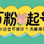 揭秘：轻松涨粉过万秘籍，2天快速增粉千余，日入斗金不是梦，新手也能快速掌握！