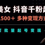 AI美女抖音快速涨粉秘籍，日赚500+，揭秘多种变现技巧，批量账号运营攻略，抢抓财富机遇！