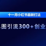 揭秘11月小红书独家引流攻略，一张图轻松吸引300+创业粉丝，成功率飙升！