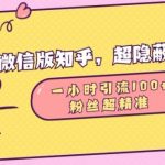 微信内幕揭秘：知乎隐藏流量新玩法，1小时轻松吸粉100+，高质量粉丝速成秘诀！