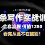 11月独家爆料：1280元课程大揭秘，轻松日赚300+，学会写出纯正人工文章，附赠内部独家指令！