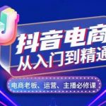 抖音电商全攻略：五维度深度揭秘，从新手到高手必看，账号运营、流量变现、人货场布局、主播培养、店铺管理一网打尽！