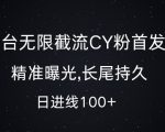 单平台独家揭秘：无限截流创业粉高效玩法，精准曝光助你日引流破百，持久长尾流量秘籍大公开！