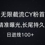 单平台独家揭秘：无限截流创业粉高效玩法，精准曝光助你日引流破百，持久长尾流量秘籍大公开！