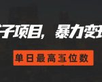 2024年最火赚钱新玩法，零基础也能日入过千，揭秘暴力变现秘诀！