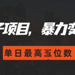 2024年最火赚钱新玩法，零基础也能日入过千，揭秘暴力变现秘诀！