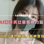 AI美女直播引流秘诀，狂揽百万流量，一夜爆红账号攻略！