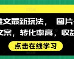揭秘高效小说推广新策略：图文并茂搭配神文案，惊人转化率，稳定收益翻倍！