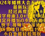 2024蟠桃大会独家揭秘：无人直播神操作，稳赚160小时无违规，抖音快手视频号一键掌握高效玩法！