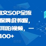 揭秘：从0到1，一天轻松赚400+，无需露脸拍视频！最新小说推文SOP全攻略，保姆级教程手把手教你！