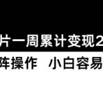小红书图片变现攻略：一周轻松赚2W+，新手也能快速上手！