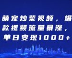 萌宠烹饪奇迹！独家炒菜视频引爆全网，日入千元惊人变现秘诀大揭秘！