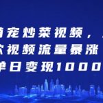 萌宠烹饪奇迹！独家炒菜视频引爆全网，日入千元惊人变现秘诀大揭秘！