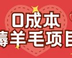 揭秘0成本赚钱秘籍：无需投入一分钱，一部手机就能操作的薅羊毛玩法，单人1小时轻松赚30+！