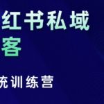 小红书高效获客秘籍训练营：实战干货传授，深挖人性逻辑，揭秘流量转化法则，零废话教学！