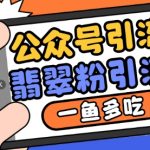 公众号爆文引流秘诀：揭秘如何利用推荐流量+搜一搜流量，轻松吸引翡翠粉，实现一鱼多吃！